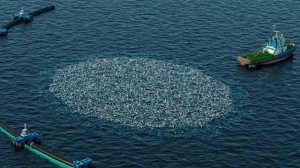 Загрязнение океана. К чему приводит? И как необходимо с ним бороться?