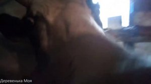 Кормлю Жданчика / Жданчик приболел