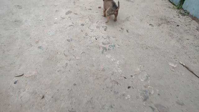 Херсонская область делаем диски до трактора смотреть онлайн