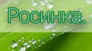 Росинка. Христианская песня.