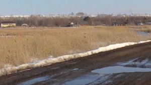 Саргатское притяжение(Объект)