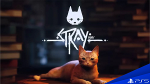 Cauvocapital обзор лучшей игры про кошек - STRAY на PlayStation 5