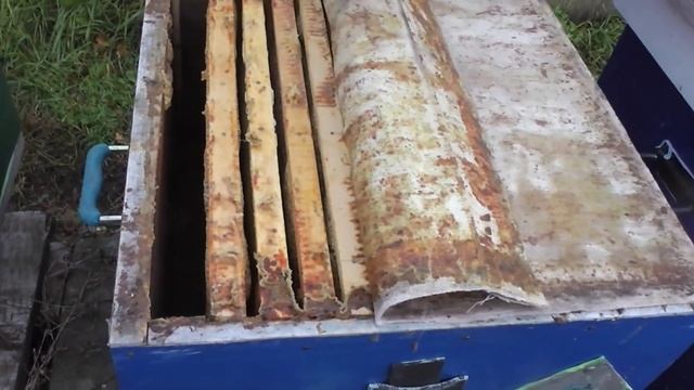 Последний осмотр пчёл смотреть онлайн