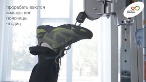 Упражнение для поясницы-берёзка. Кинезиотерапия при заболеваниях позвоночника