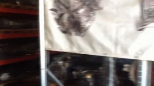 Склад контрактных двигателей в Омске. Купить двигатель бу Омск. без обамна и предоплат