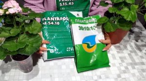 Удобрения для пеларгоний. Часть 2. Формула правильного удобрения