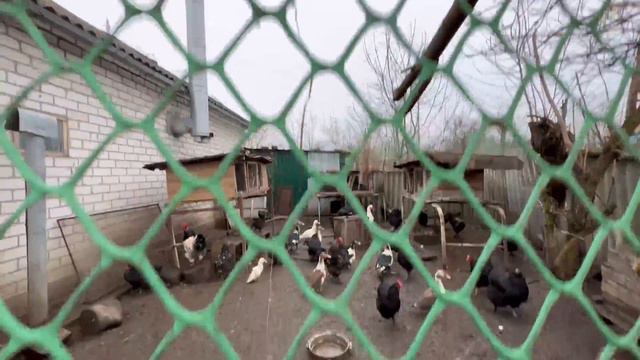Дом три спальни, и летней кухни/ участок 37 соток/ ст. Батуринская