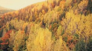 Наталья Маркова Где искали меня