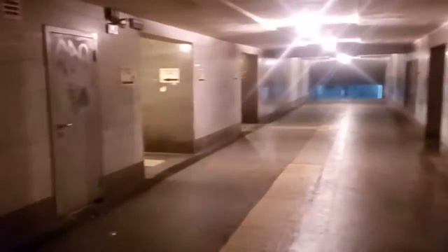 Укулеле (пожелания зрителям, кто увидит, и просто обзор рабочей точки) смотреть онлайн