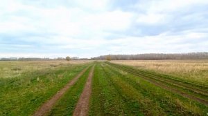 Новые покатушки на альфе и мотоблоке.Когда мне было 10 лет,я копил на новенький мопед