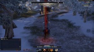 Elder Scrolls Online Tank Battles: 20+ Min Random 1v1 Duel in Cyrodiil