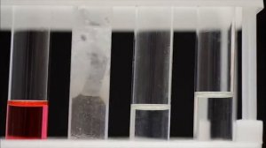 Кислотные свойства карбоновых кислот. Химический опыт