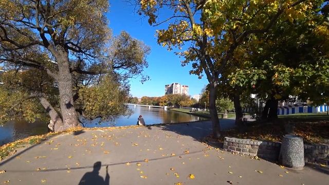 Калиниград, НИЖНЕЕ ОЗЕРО, ЦЕНТР ГОРОДА, ОСЕНЬ 2018, РАЙОНЫ смотреть онлайн