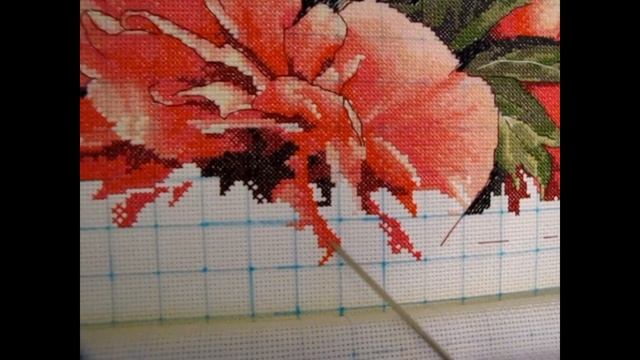 СП "Цветочный триумф". Dimensions, Coral Peonies 70-35298. Коралловые пионы. Отчет 3 смотреть онлайн