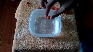 EXPERIMENTO DE LA PLASTILINA Y EL AGUA