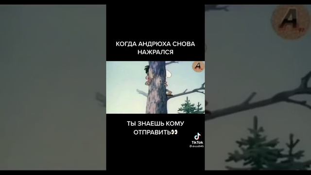 Когда Андрюха посмотрел сколько стоит почка