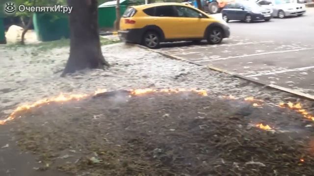 Поджигаем тополиный пух смотреть онлайн