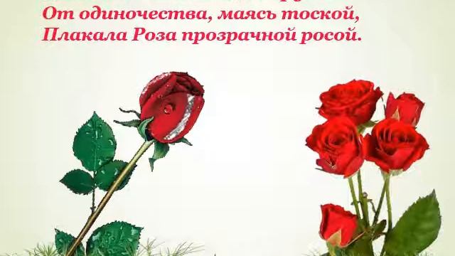 Сказка о красной розе смотреть онлайн