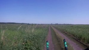 2019-06-08 - 91 м Воейково Васильевка