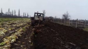 Бульдозер Т-100м пахота на тракторе т100м (Т-100м3нгп) часть 2