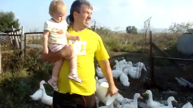 Виолетта на Ферме кормим птиц смотреть онлайн