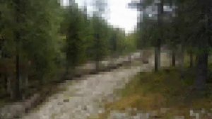 Эдуард ХИЛЬ Бирюсинка