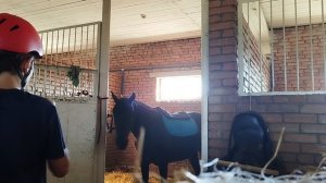 конный спорт