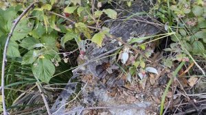 Теберда - Архыз. Пешком за  9 дней