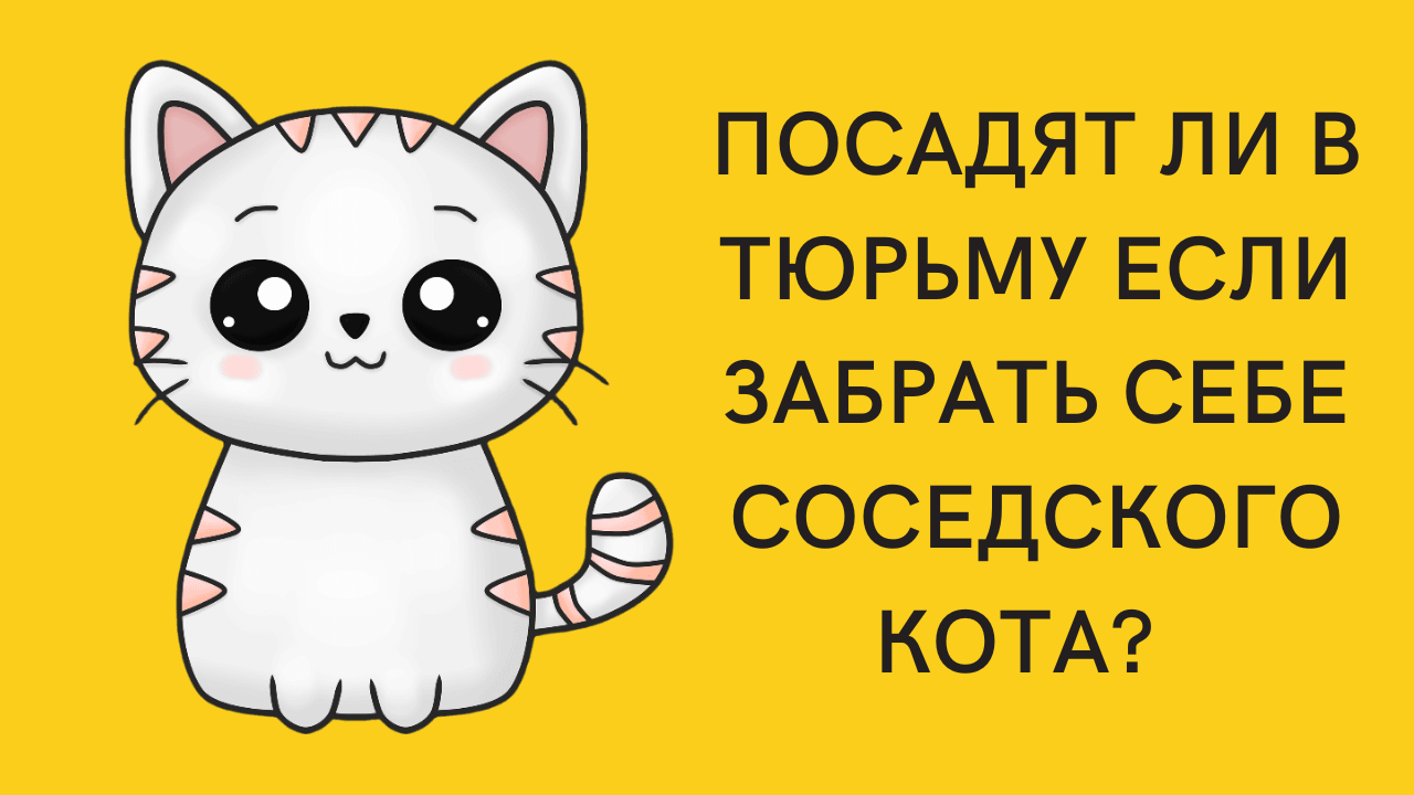 Сонник Соседский Кот