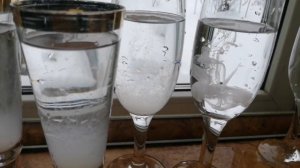 Как узнать беременна ли коза по молоку