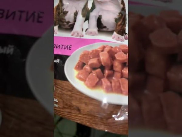Влажный корм для малышей.