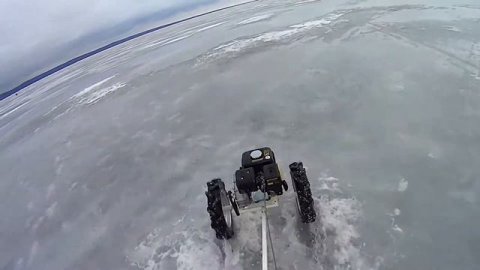 Мотособака на колёсах.