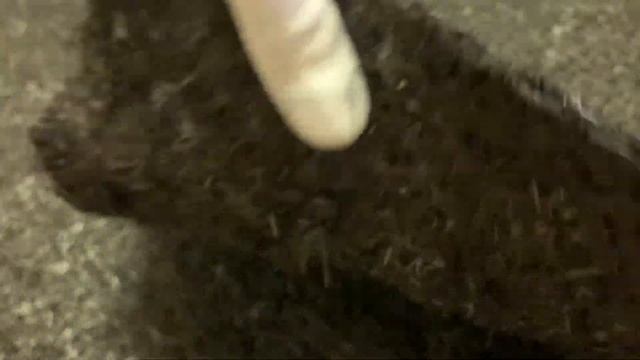 Материалы-Углеродный нетканый материал CN 450 смотреть онлайн