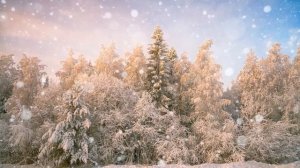 Волчьи слезы