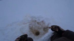 Кубенское озеро 2022. Начало