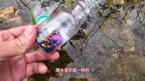 大雪過後到河邊發現一堆可愛的雪鴨子，撿到草叢裡的夾雪玩具，還可以做小恐龍太幸福！ 【野王大坤戶外】