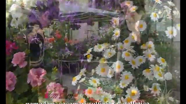 Subbiano: Subbiano in Fiore con i floricoltori e orticoltori... che fare con i fiori e pomodori? смотреть онлайн