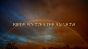 Eric Clapton - Somewhere Over the Rainbow (with lyrics)