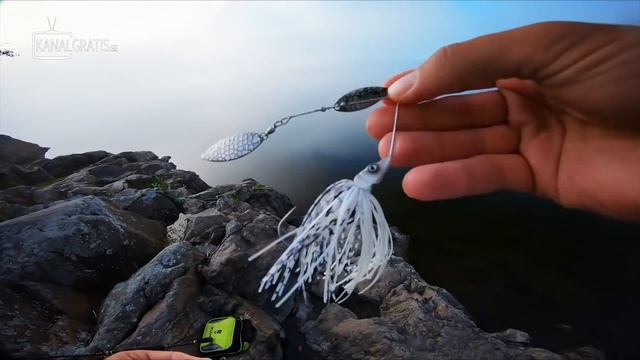 12 Lure Types for PERCH FISHING ? (When, Where & How to Use Them)