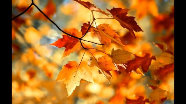 С днем УЧИТЕЛЯ !!!Автор Татьяна Фомичева смотреть онлайн