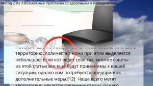 Как отучить вашего кота мочиться в неположенных местах