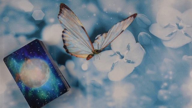 СТРЕЛЕЦ. ИЗ ГУСЕНИЦЫ В БАБОЧКУ ИЛИ СТАДИИ СЕПАРАЦИИ. #бабочка, #метаморфоза, #сепарация, #стрелец смотреть онлайн