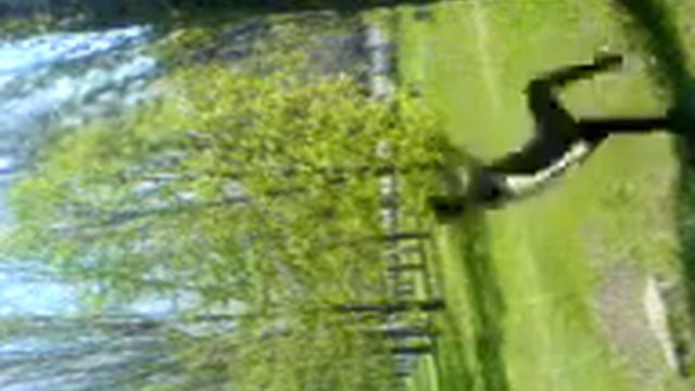 сальто от дерева научился за 1 день...название стиля паркур,брек данс ,каупуеро,и другие название смотреть онлайн