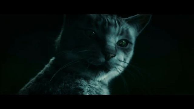 Женщина кошка. Получает силу кошки.