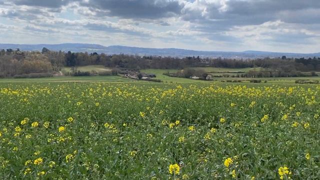 Vlog 90-Сколько стоит телефонная будка, цветущие рапсовые поля, и ещё раз об экологии смотреть онлайн