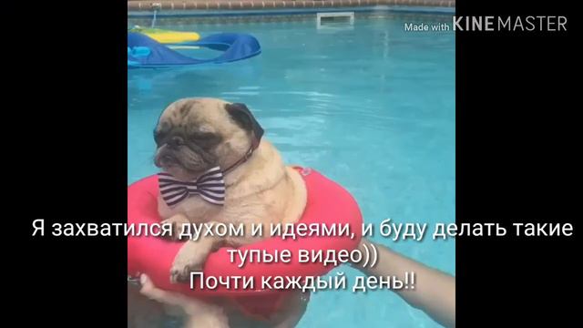 NEW TYPOE BIDEO БИЧ! смотреть онлайн