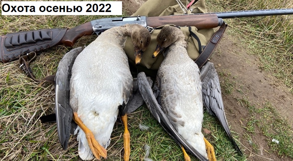 Охота осенью с подхода 2022 смотреть онлайн