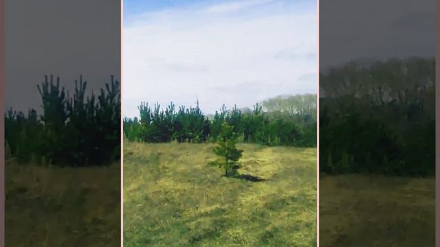 Музыкальное видео "Весенняя Природа". 💕 смотреть онлайн