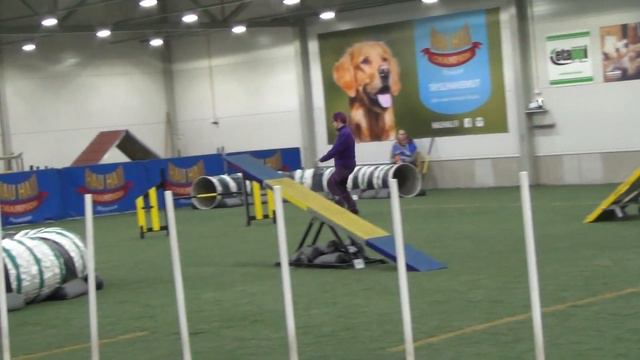 AGILITY: LUSMU Seinäjoki/LAGU 12.11.2017, maxi1A, tuom. Anders Virtanen смотреть онлайн