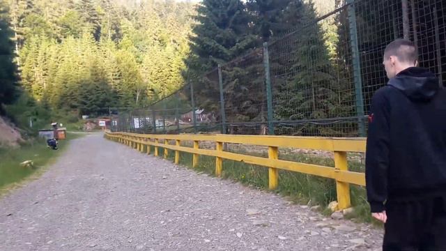 Из озера Синевир на ферму медведей 15.06.2022 смотреть онлайн